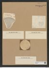 Coscinodiscus radiatus Ehr. (de-Toni-Nr.: Genus 202, Species 4972) Zeichnungen Sammlung Grunow Nr. 8573 (NHMW-BOT-W0378221)